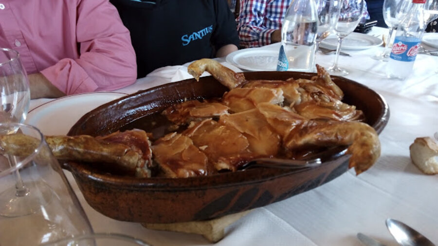 cochinillo-lechal